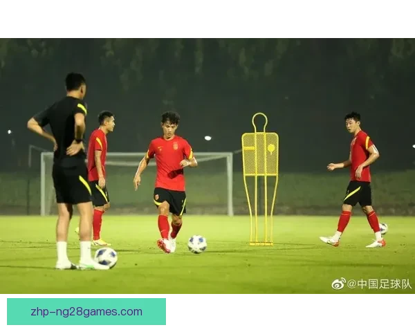 美洲杯赛场定位球战术演变与攻防效率深度解析研究趋势比较与实战应用